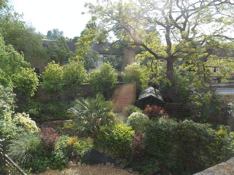 Photo 7- click for photo gallery
